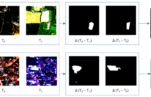 Satellite images of forests that show progression of deforestation.